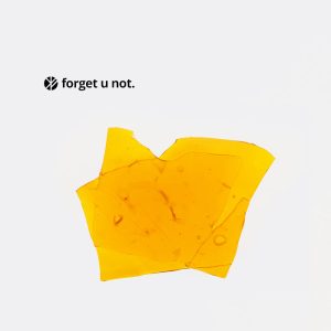 Forget U Not - Mendo Shatter (1g)