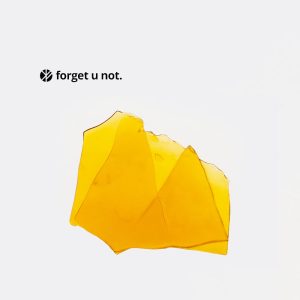 Forget U Not - Power Plant Shatter (1g)