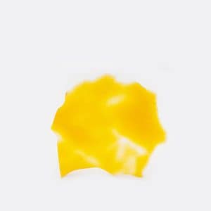 Chronic Store - Megalodon Shatter 1g