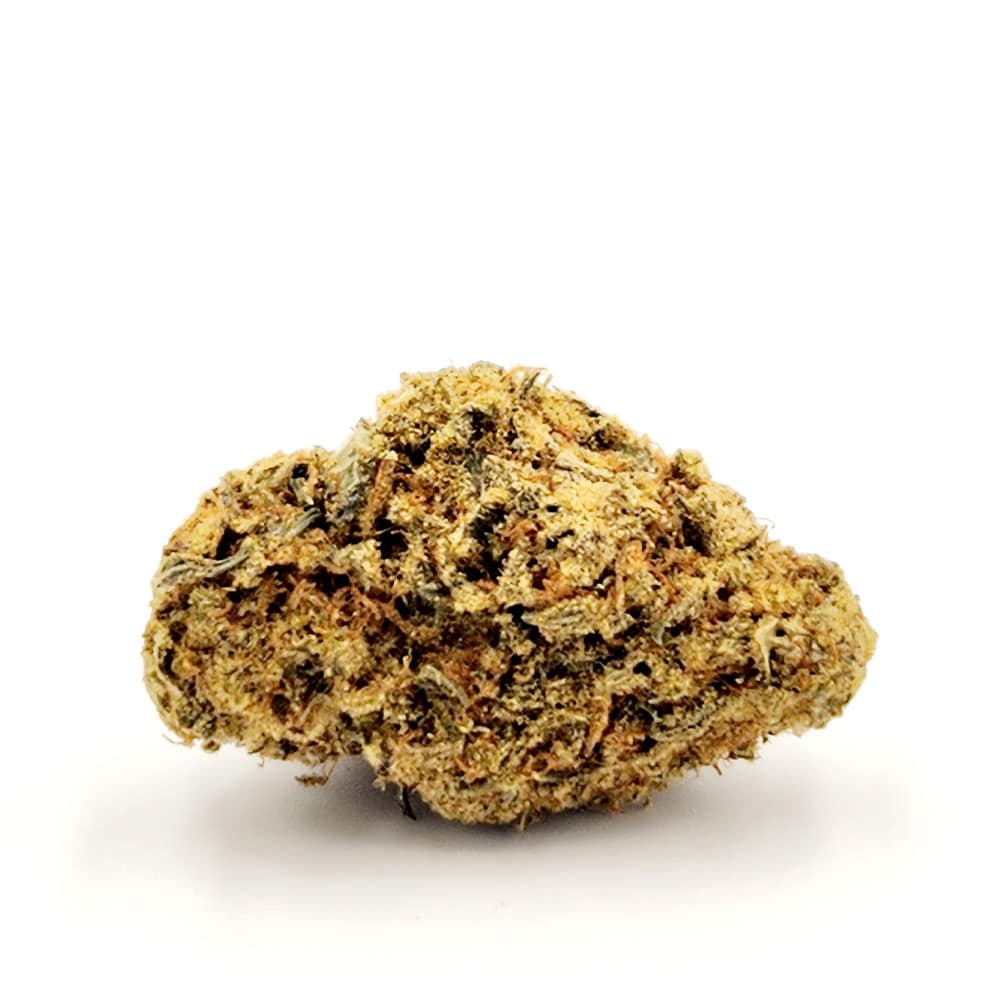 Buy Mimosa Strain AAA (1oz) | Chronic Store