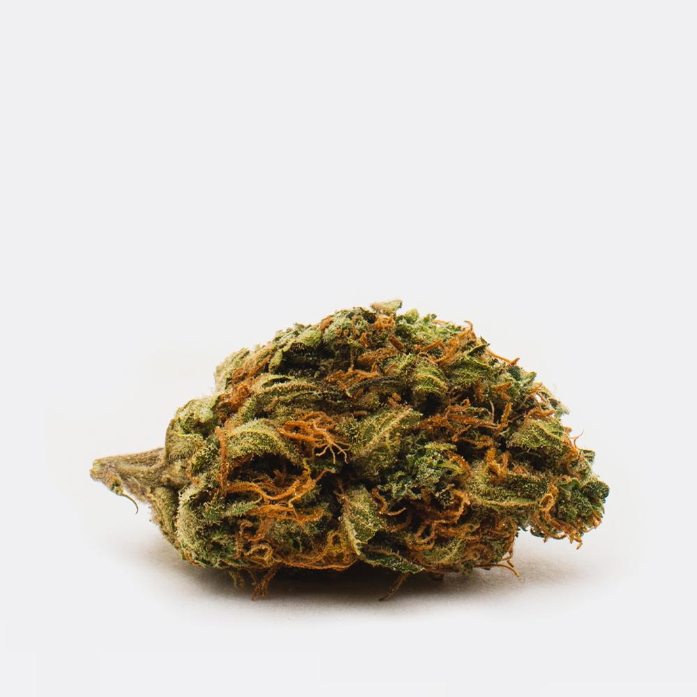 Buy Robert's Creek Strain AAA | Chronic Store