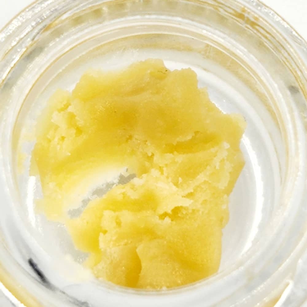 Champagne Drip Strain Live Resin close up from Chronic Store