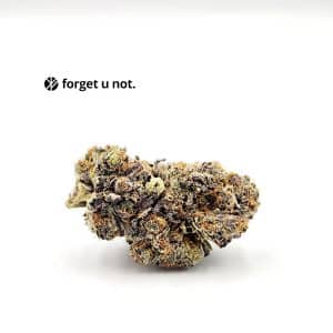 Forget U Not Squake Cannabis strain from Chronic Store