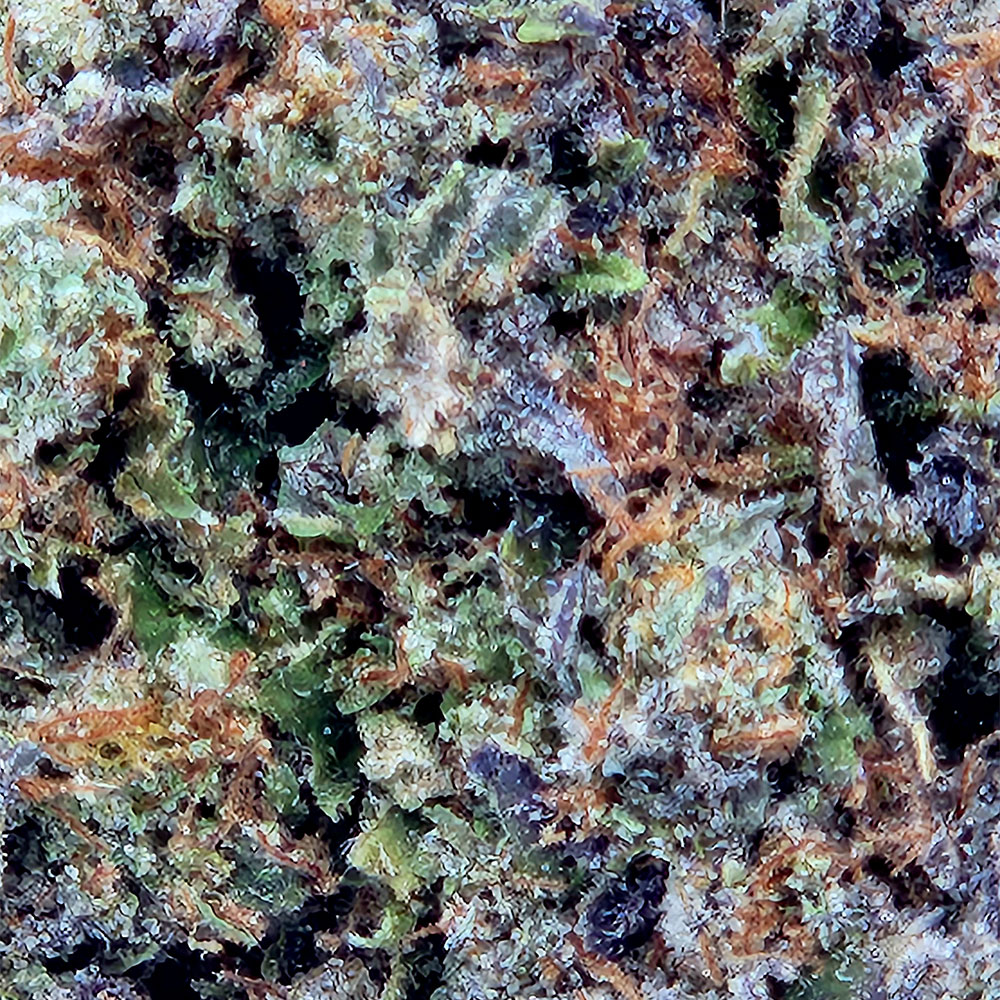 Pine Tar Cannabis