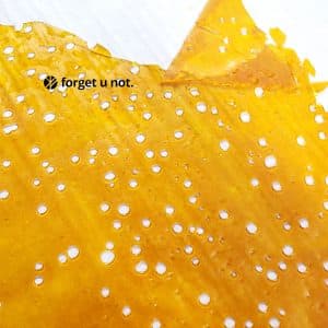 Violator shatter that has a Yellow Amber color and a small section broken off to show the delicacy of the shatter slab forget u not brand logo in the upper left and corner