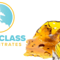 First Class Concentrate Logo also showing shatter and distillate syringe