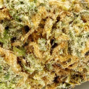 sticky minaj cannabis flower micro