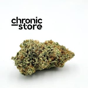 god's prime glue cannabis chronic store