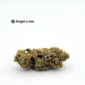 girl scout cookies flower forget u not