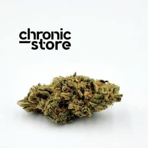 bag clogger cannabis chronic store