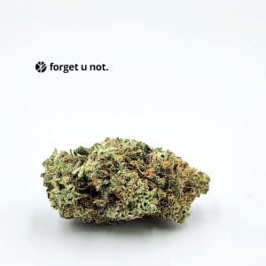 xxx cannabis forget u not