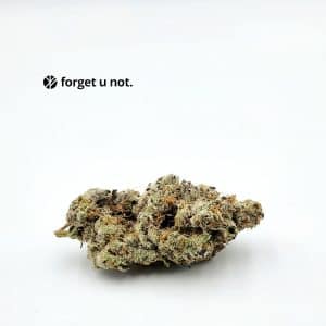 arcadia cannabis forget u not