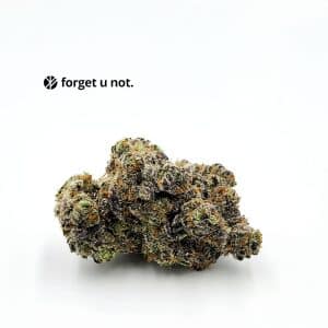 gemini cannabis forget u not