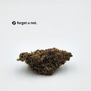 omfg cannabis forget u not