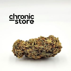 stardawg cannabis chronic store