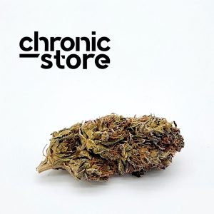orange push pop cannabis chronic store