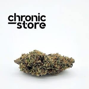 gypsie road cannabis chronic store brand main photo