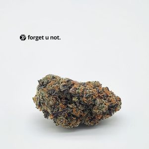 peyote critical main photo cannabis forget u not